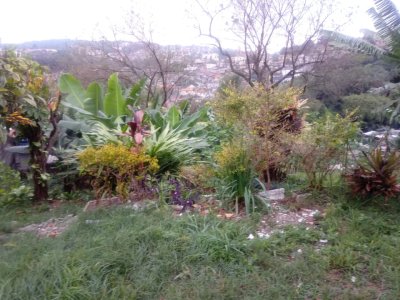 Terreno em Jaraguá - São Paulo — foto 2