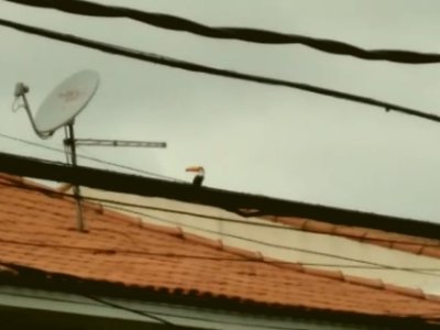 Sobrado em Jardim Regina - São Paulo — foto 3