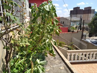 Sobrado em Jardim Vivan - São Paulo — foto 5